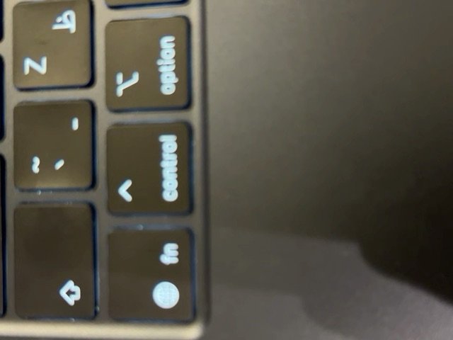 وردة الصحراء